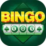 bingo 101
